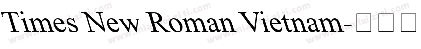 Times New Roman Vietnam字体转换